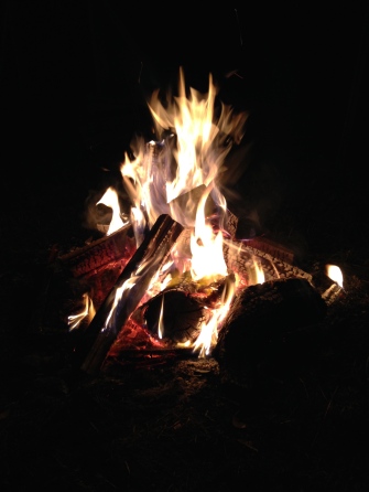 Summer campfire
